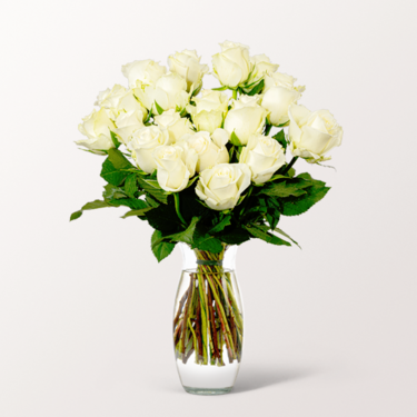 20 weiße Fairtrade Rosen im Bund mit Vase