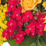 Blumenstrauß Sommergefühl mit Vase & Ferrero Giotto 3er