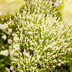 Blumenstrauß Blumenfreude mit Vase & Ferrero Giotto 3er