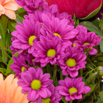 Blumenstrauß Sommerliebe mit Vase & Ferrero Giotto 3er