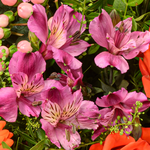 Blumenstrauß Blumensymphonie mit Vase & Ferrero Giotto 3er