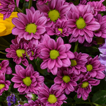 Blumenstrauß Farbenfroh mit Vase & Ferrero Giotto 3er