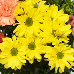 Blumenstrauß Sommerschönheit mit Vase & Ferrero Giotto 3er