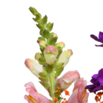 Blumenstrauß Bunter Sommer mit Vase & Ferrero Giotto 3er