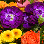 Blumenstrauß Bunter Sommer mit Vase & Ferrero Giotto 3er