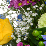 Premiumstrauß Farbspiel mit Premiumvase & Ferrero Giotto 3er