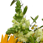 Premiumstrauß Sommerglühen mit Premiumvase & Ferrero Giotto 3er