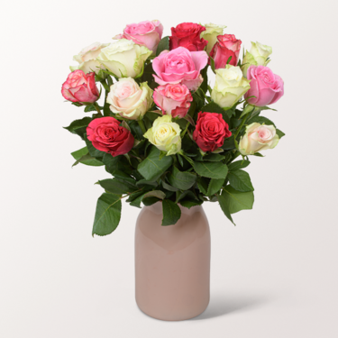 17 pastel coloured roses in a bunch with vase & 3 Ferrero Giotto